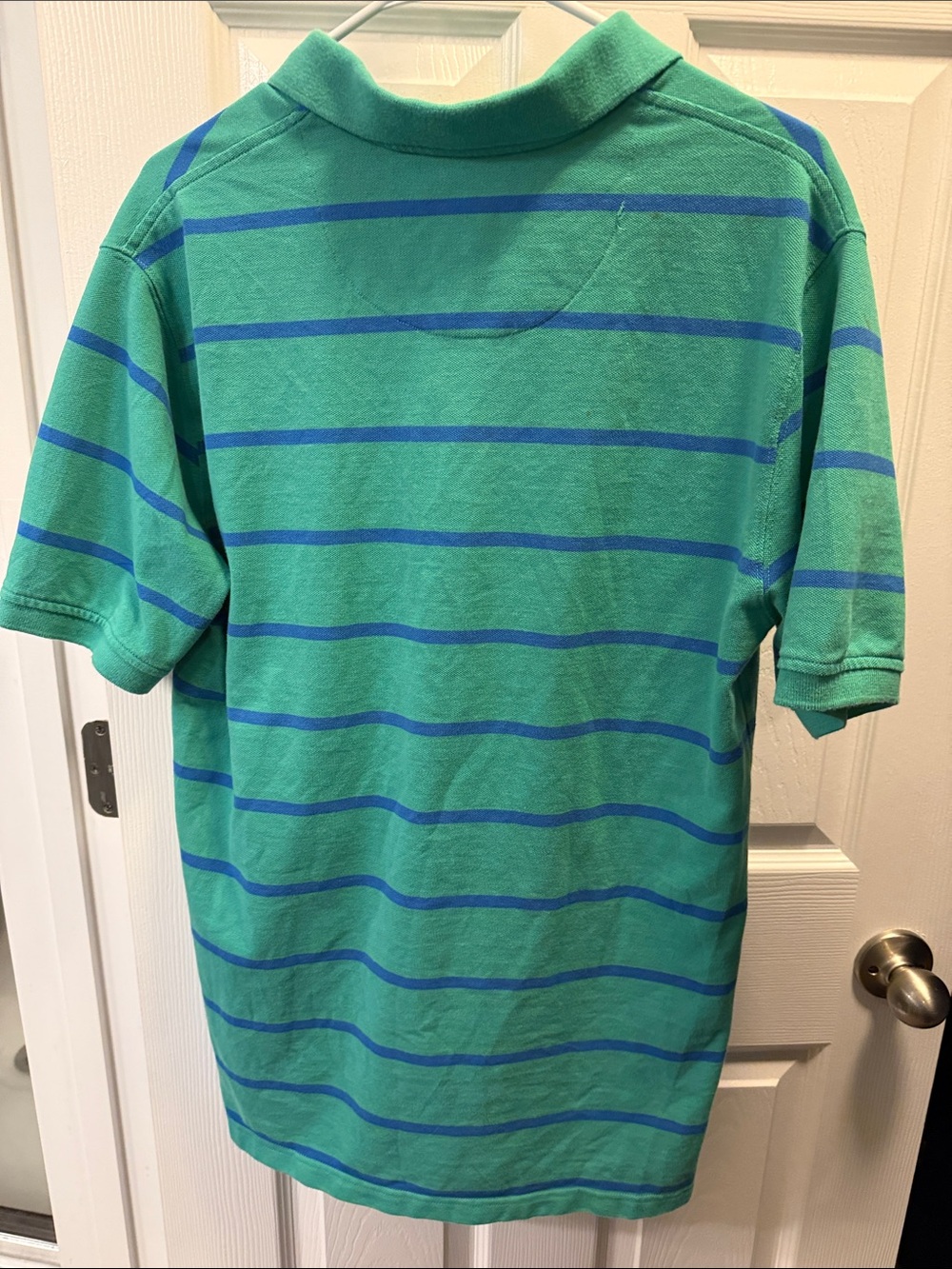 Saddlebred Green Polo with Blue Stripes - Picture 3 of 3